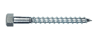 Lag Screw