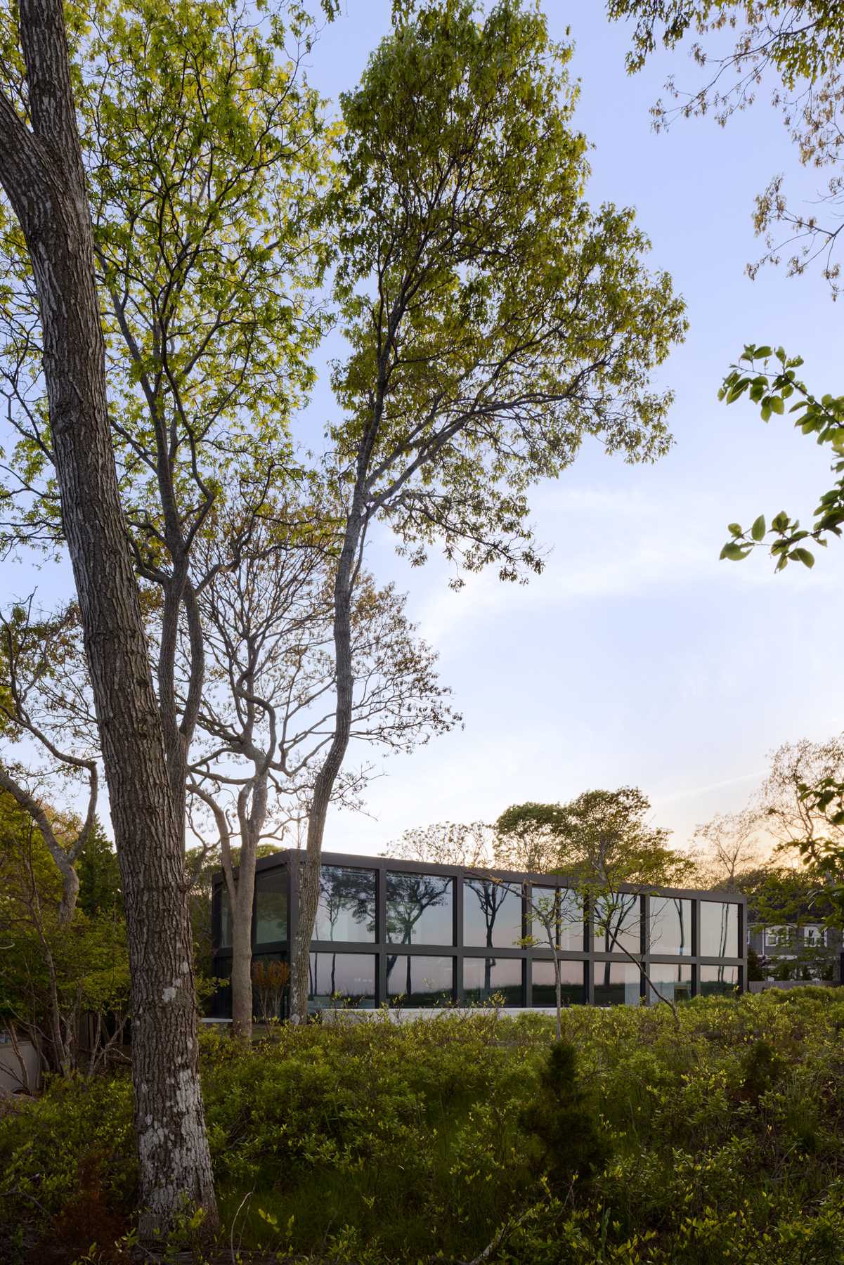 A modern home with a grid-inspired exterior and large windows.