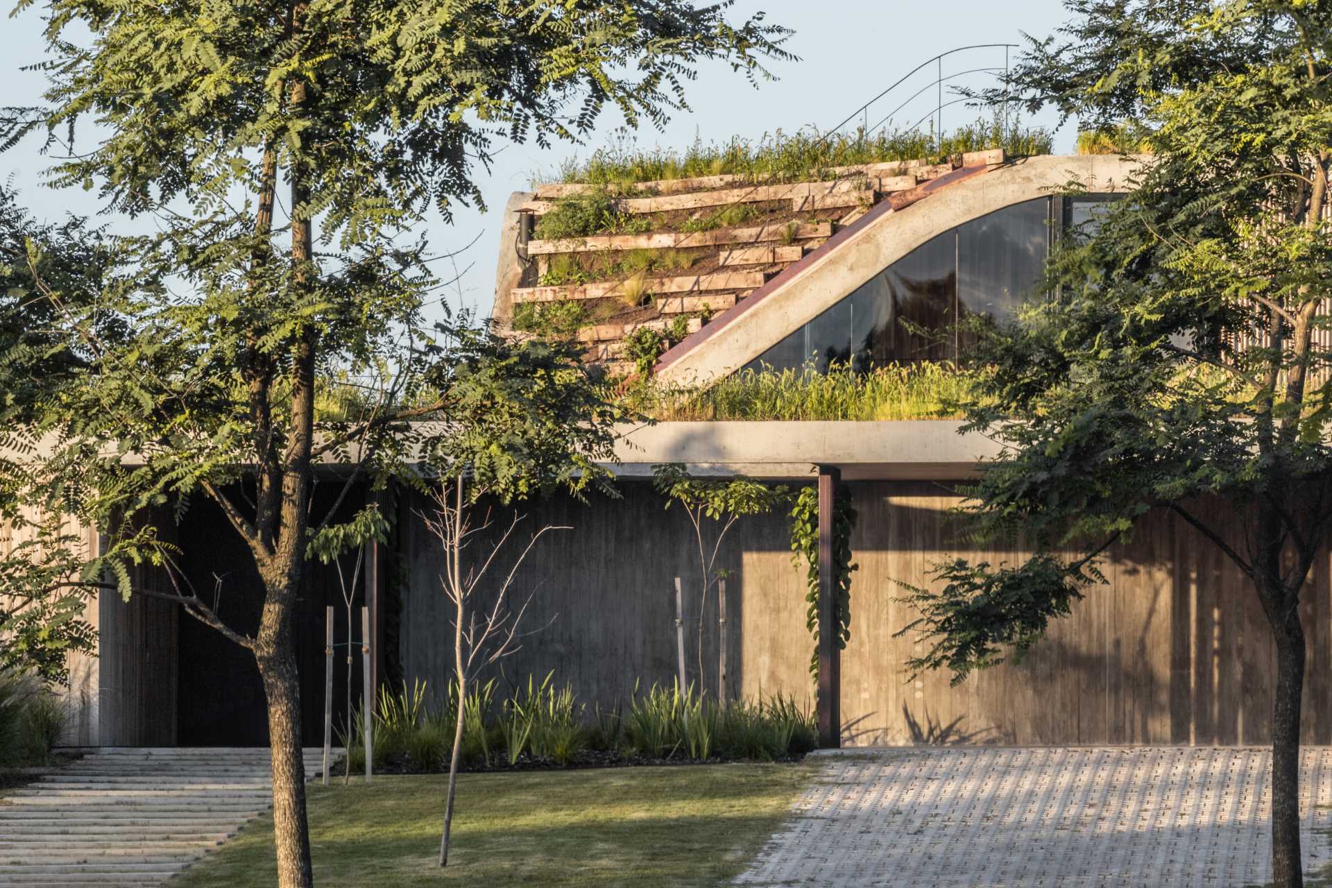 A modern home with a green roof also features a material palette of concrete and wood.