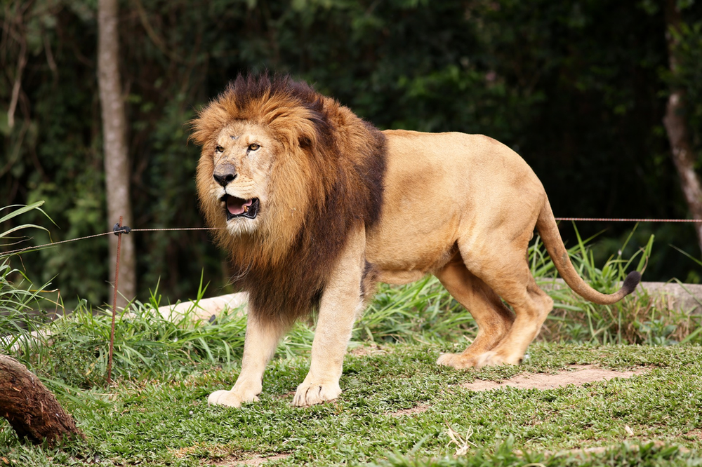 National Geographic – Featured Website of...