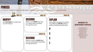 Te Tiriti o Waitangi parntnership
