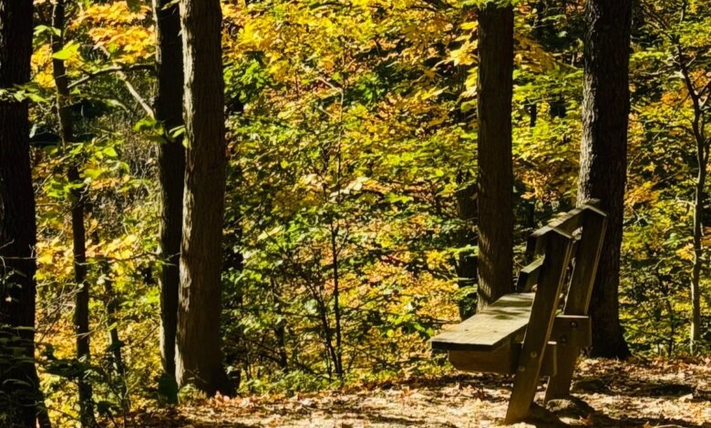 Near Future Stress — Yoga Trail Talks