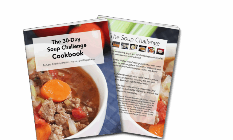 Classic Chicken and Vegetable Soup ⋆ Health, Home, & Happiness