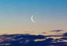 6 common types of dreams (and what they could mean) — Calm Blog