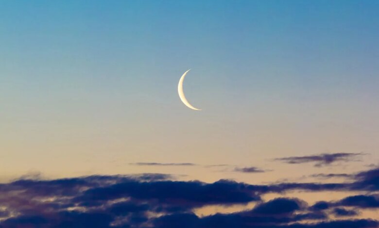 6 common types of dreams (and what they could mean) — Calm Blog